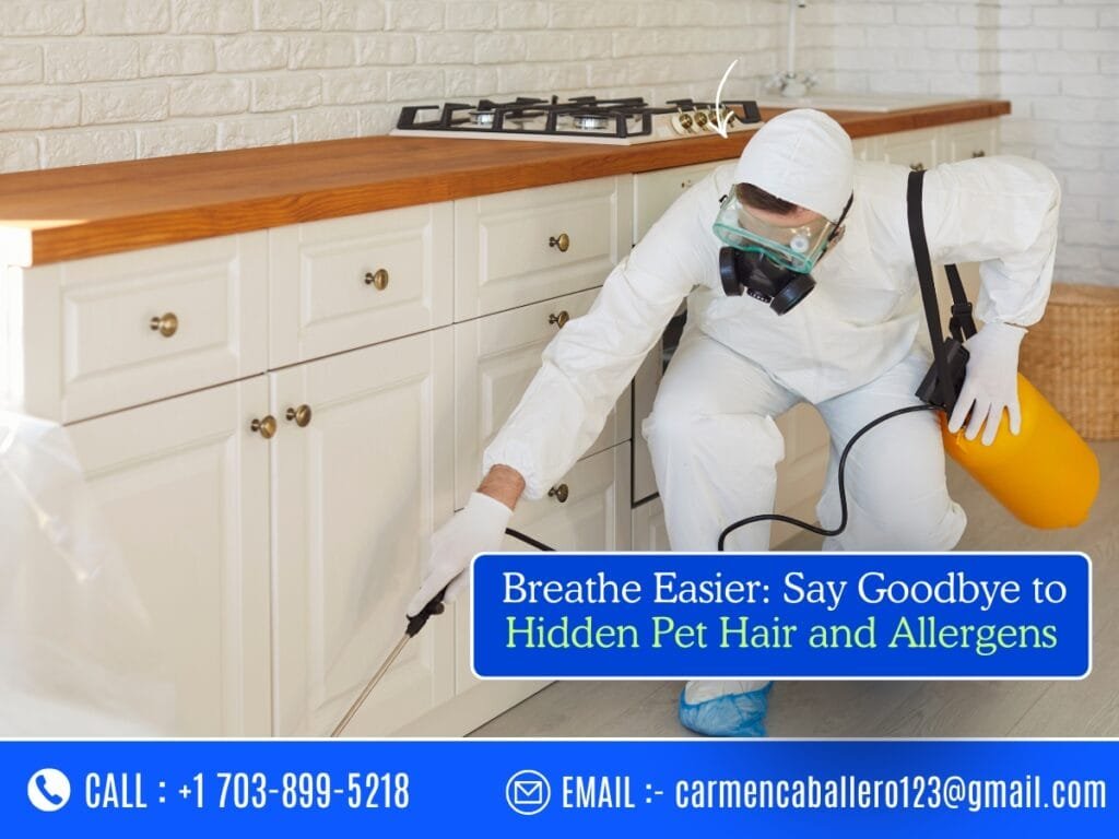 Northern Virginia home being professionally cleaned by Cleaning Fairies VA, removing pet hair and dander for a healthy, allergen-free living space