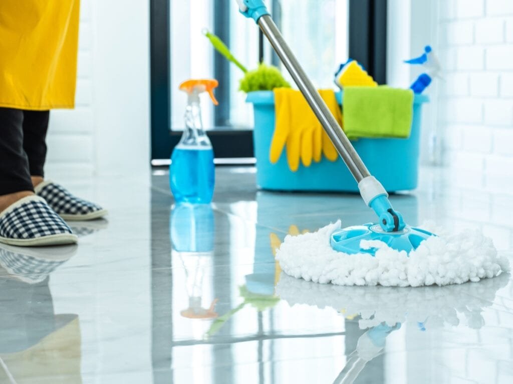 Professional Cleaning